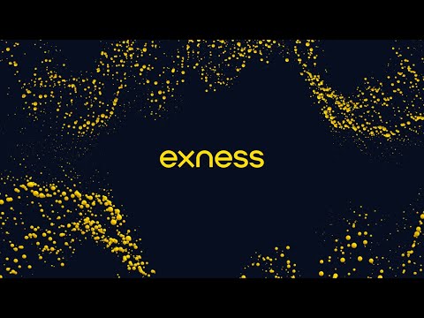 Un aperçu complet de la compréhension des volumes de transactions et des dimensions des lots entiers chez Exness